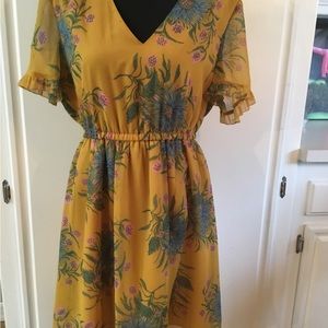 Madewell Sweetgrass Ruffle Sheer Sleeve Painted Blooms Lined Dress Size 8. #I